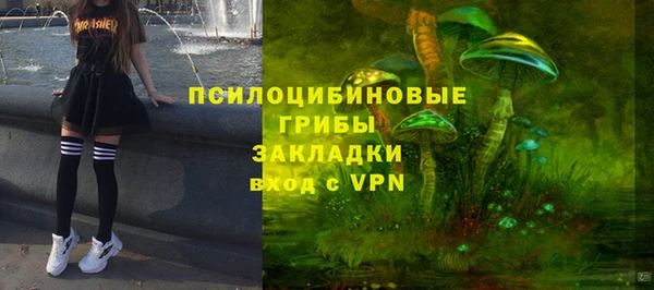 спиды Приозерск