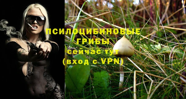 a pvp Алзамай